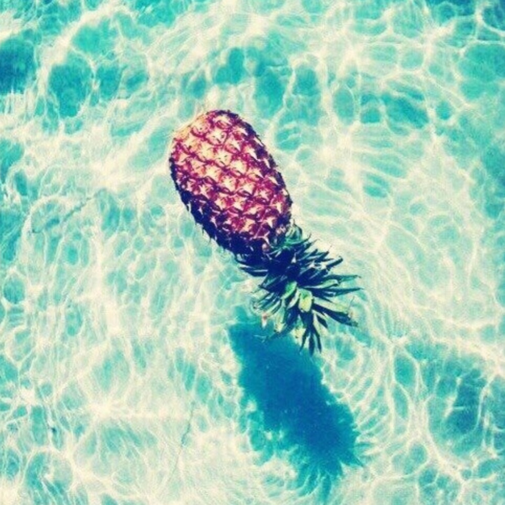 Meet your Posher, Lacey